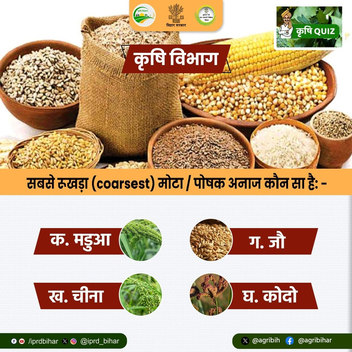 Agribih's tweet image. सबसे रूखड़ा (coarsest) मोटा / पोषक अनाज कौन सा है । @KumarSarvjeet6 @SAgarwal_IAS @dralokghosh @abhitwittt @Directoratbih @Bau_sabour @IPRD_Bihar 
#SundayQuiz