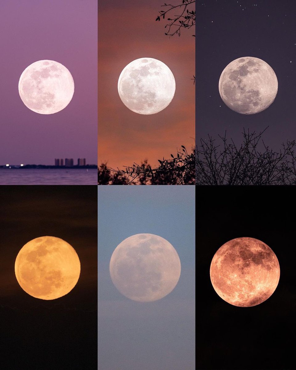 moon lover