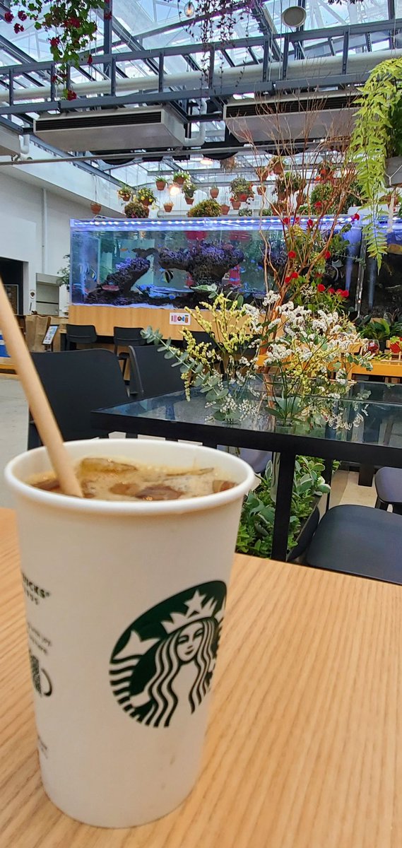 RyutaroUmeki's tweet photo. 念願のスタバデビュー(*つ▽`)っ☕

からの～
全こぼし😨

親切なスタバ店員さんありがとうございました(*T^T)

#初スタバ #HANA・BIYORI店 https://t.co/Mzq8ghs34a