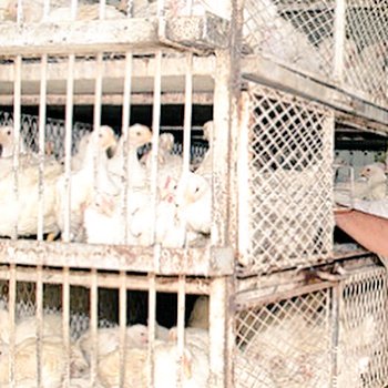 #عاشق_الماضي tweet media