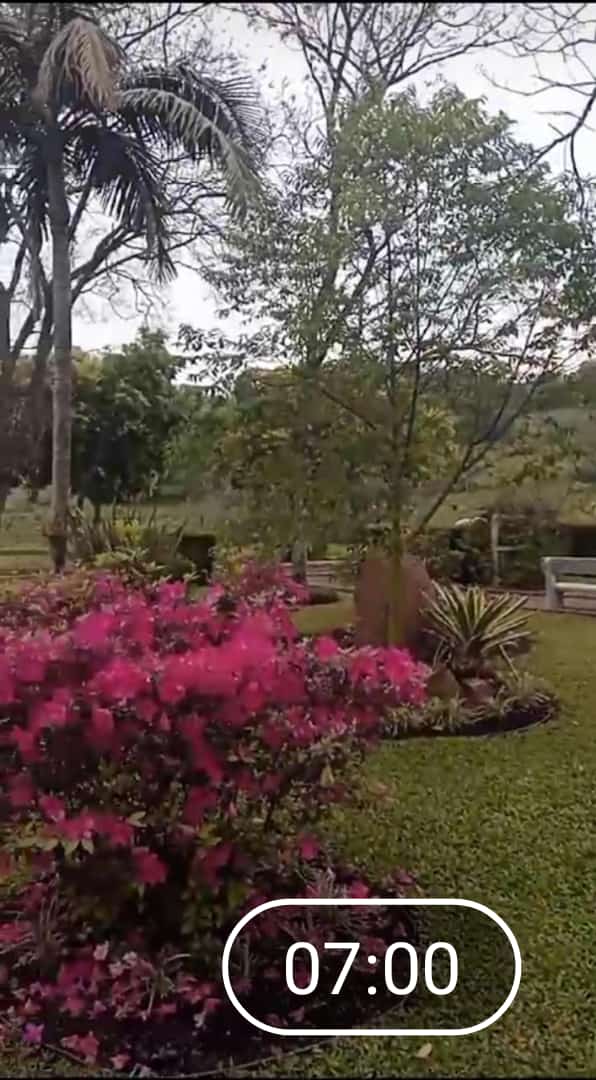 Manuel G. Ramirez (@gullermoramire1) on Twitter photo 