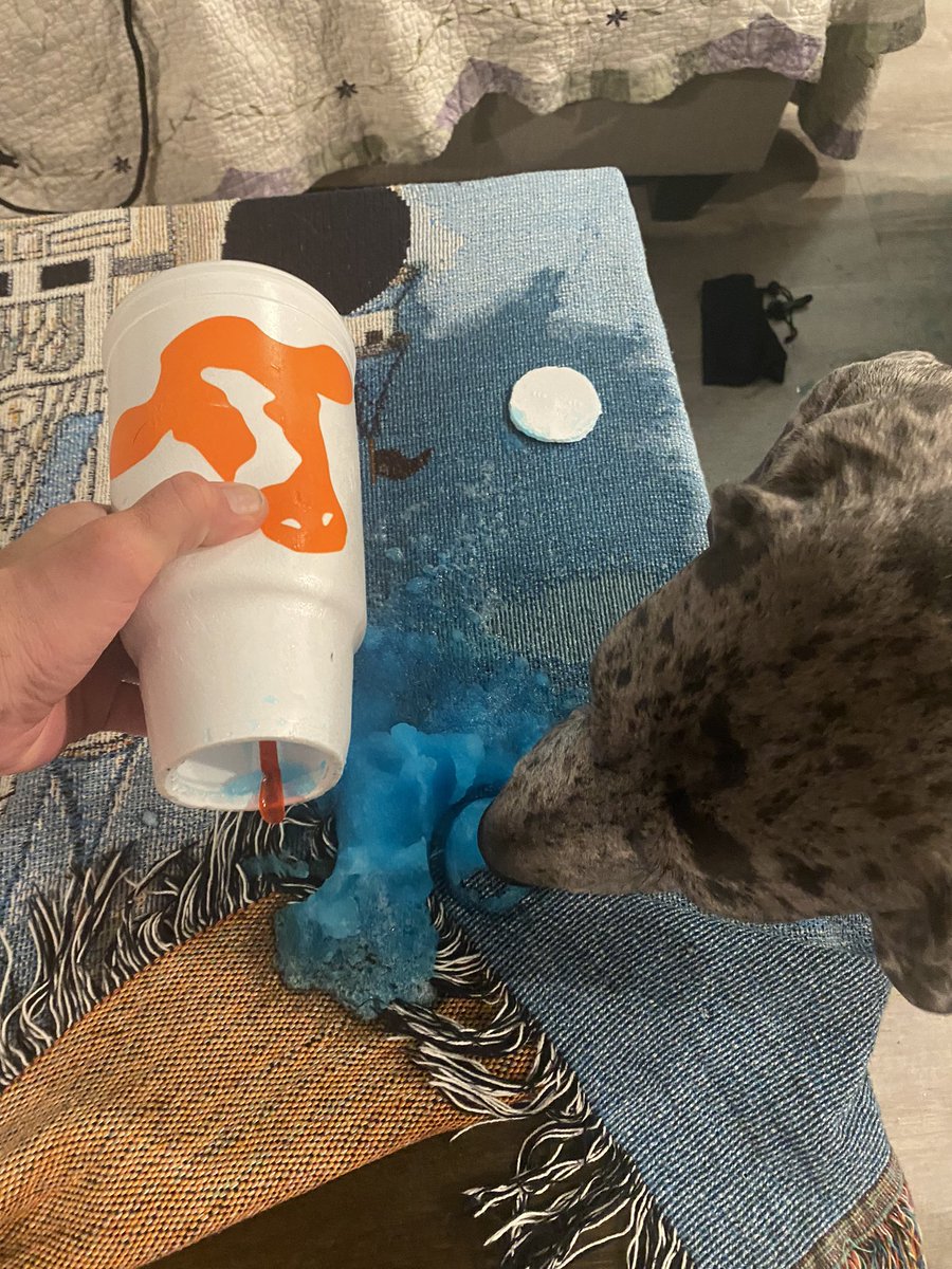 BradSoos's tweet photo. @UnitedDairyFar1 Hope you guys had a great night! This is how mine ended just killed the vibe. Good thing there’s always tomorrow! #LongWeekendBaby https://t.co/bt1YwTaoKC