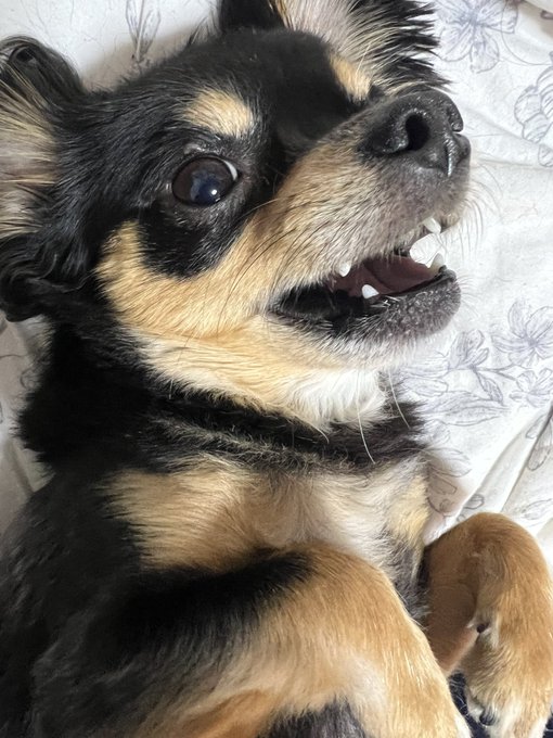 催眠アプリだめでした 