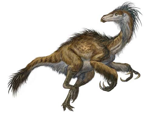 LOVEALADY_'s tweet photo. Espresso probably had such a major interest in dinosaurs when they where young and there favorite ones where the feathered ones like these https://t.co/T68vKE6HWK