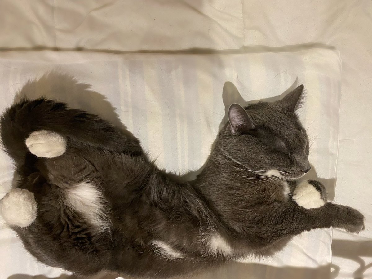 minenmi's tweet image. Why he sleep like this