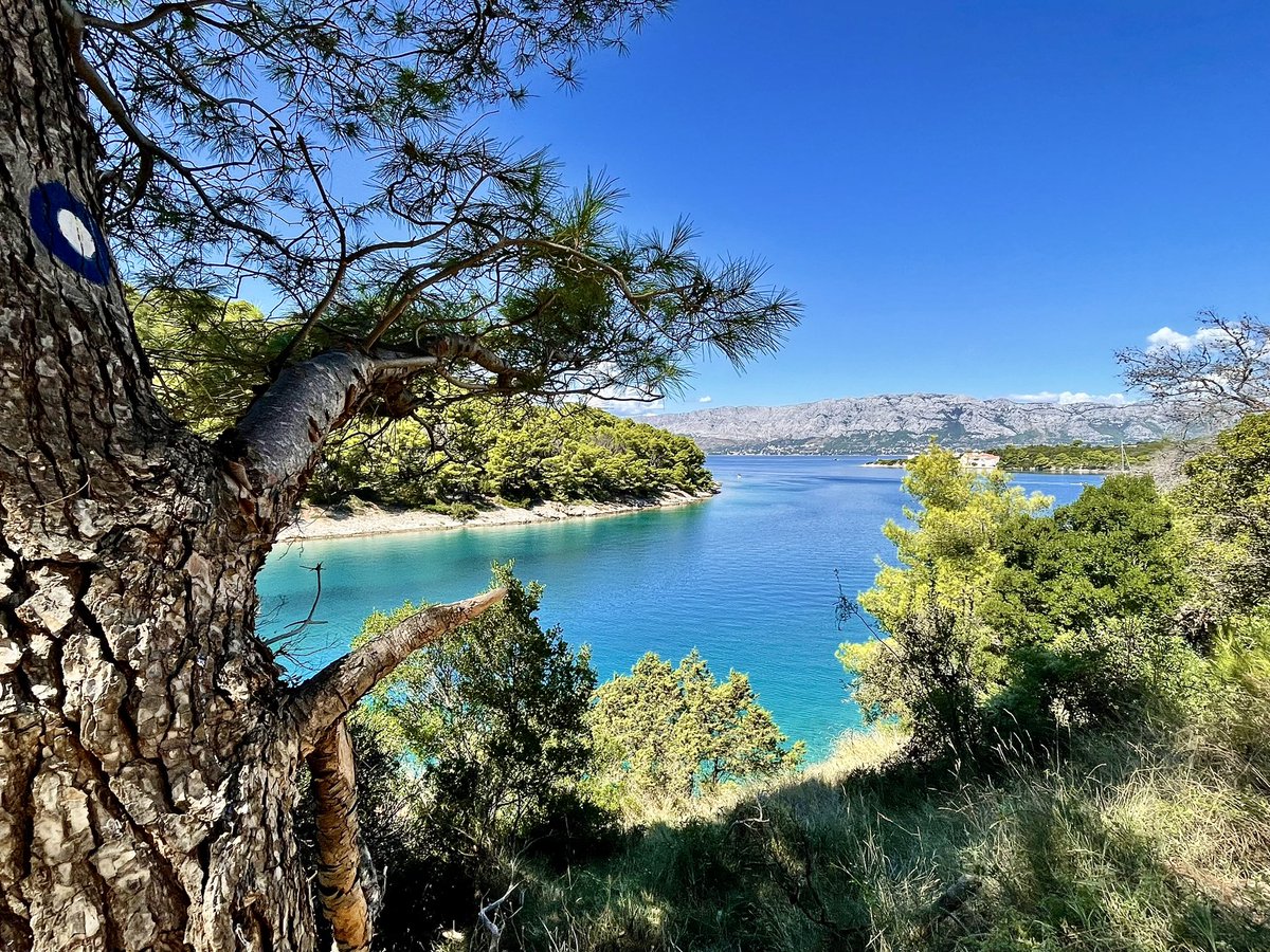 PlanetMina's tweet image. Another day, another beach. 😊☀️🏖️🍹 #summer #croatia #brač