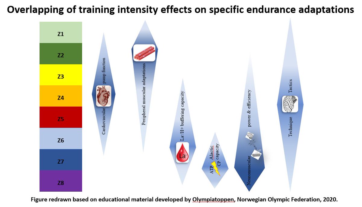 Stephen Seiler tweet media