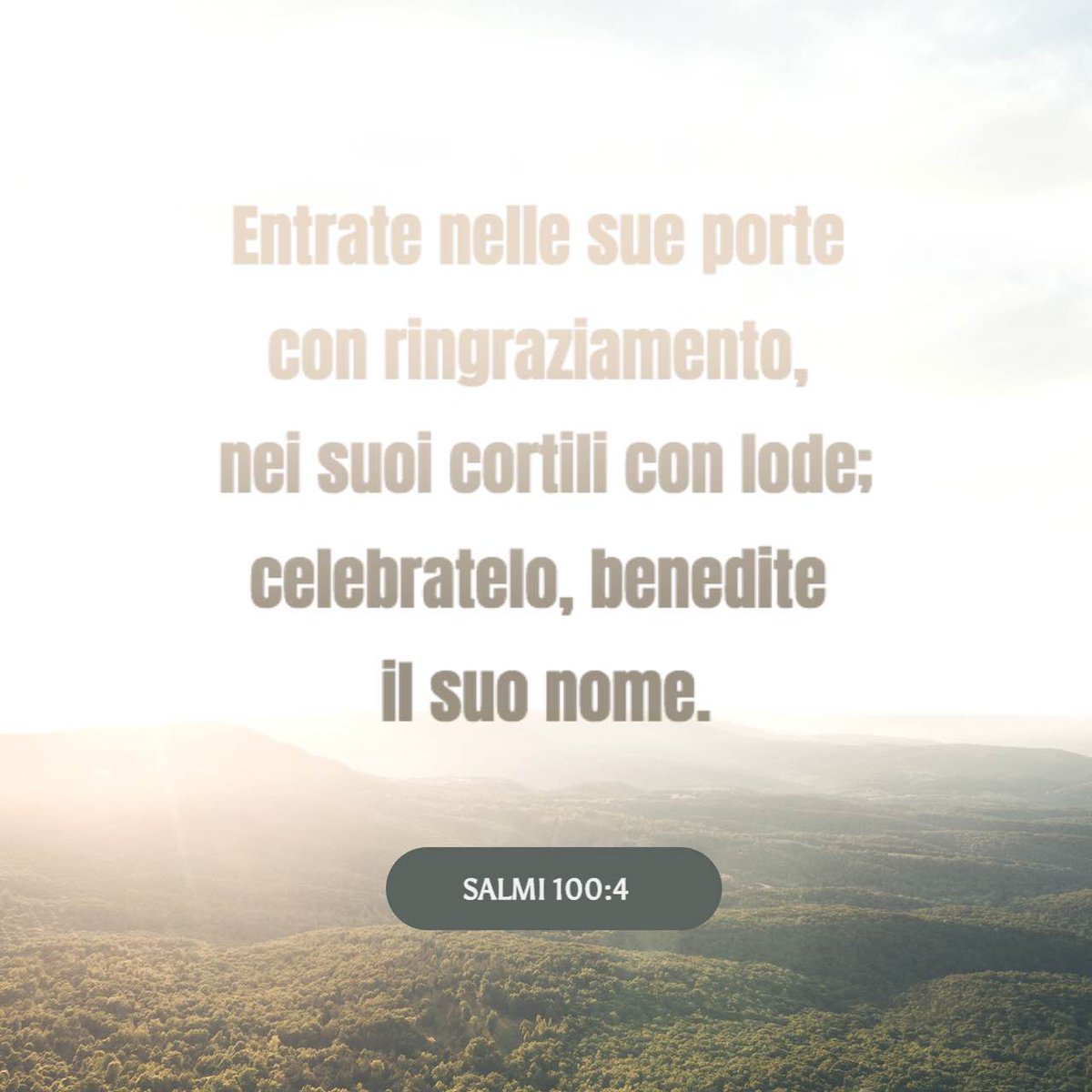 BrunaMarini5's tweet photo. A tutti voi auguro una splendida domenica (versetto di oggi) https://t.co/mhy9Fkc609