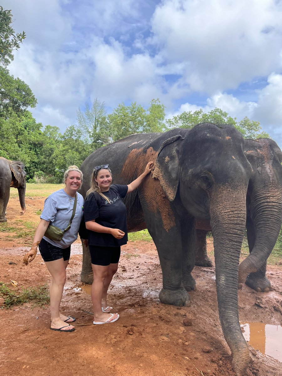 JessMilton tweet media