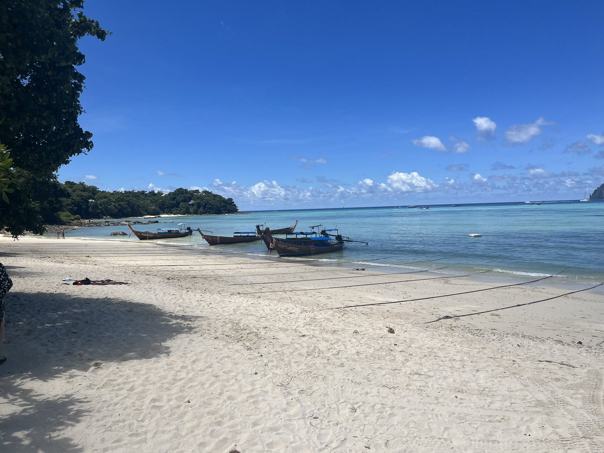 JessMilton tweet media