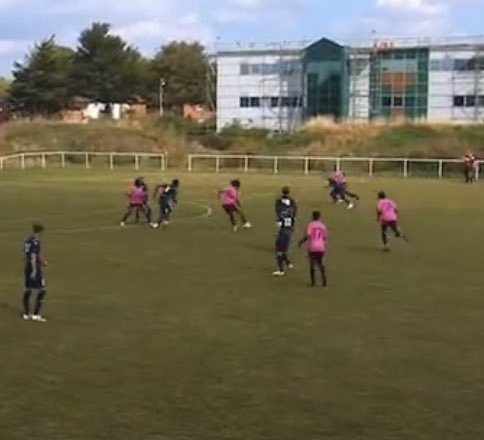 Daniel Osborne tweet media