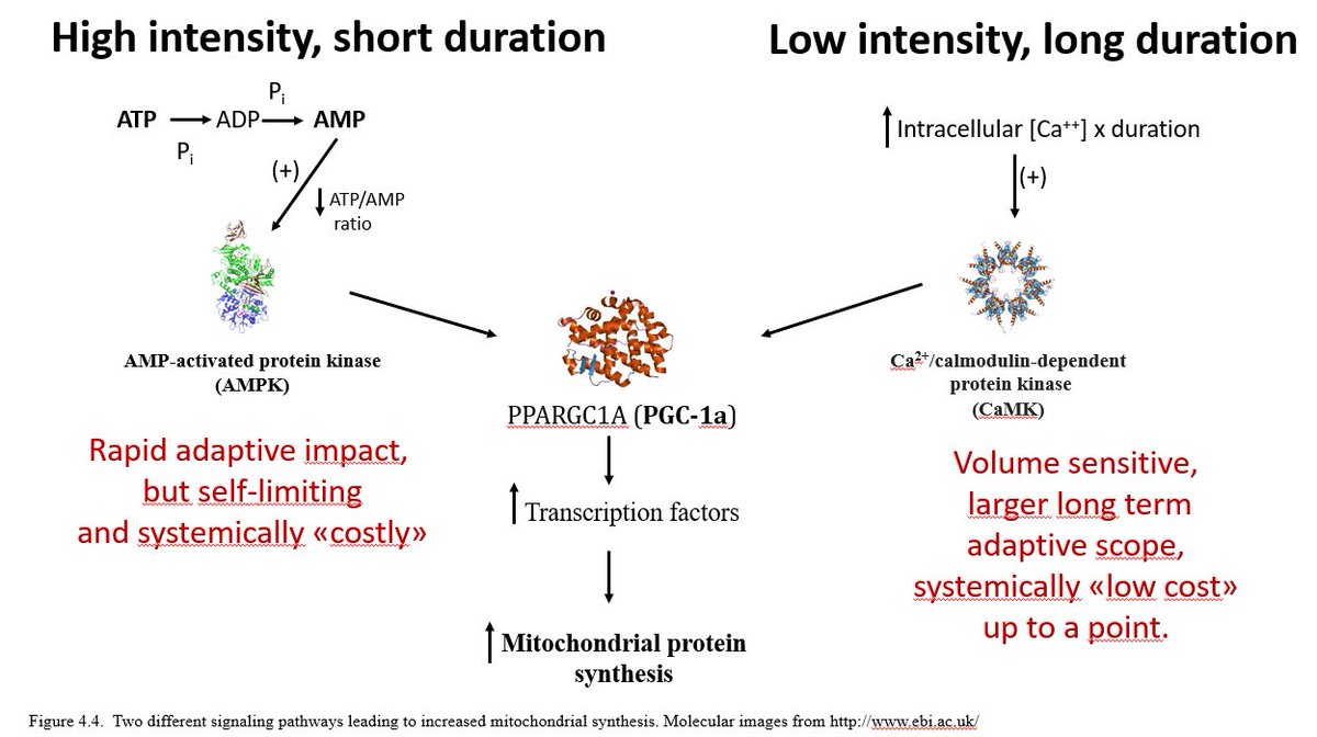 Stephen Seiler tweet media