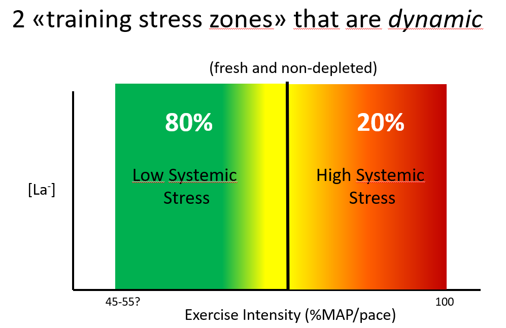 Stephen Seiler tweet media