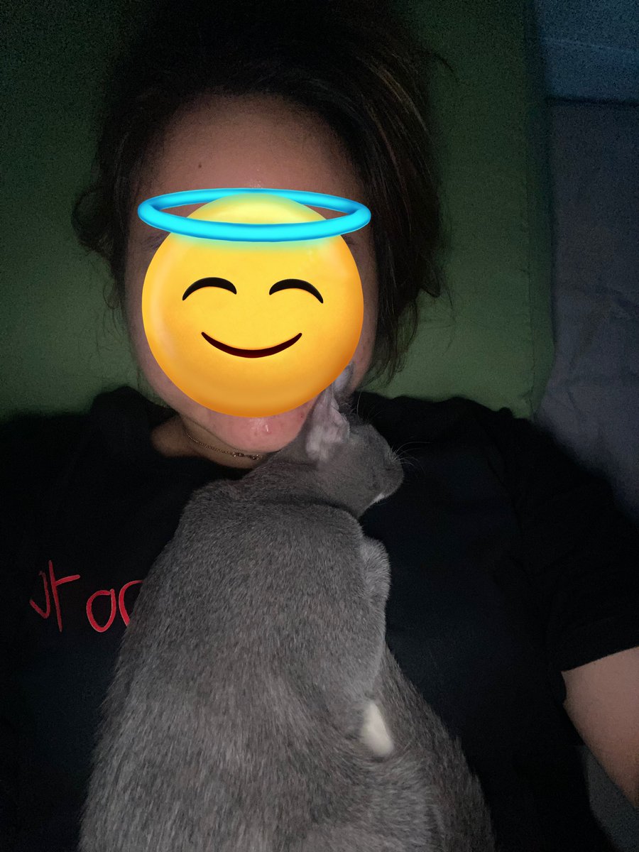 itsurgirlbby's tweet photo. Liat si kurus ini, nyaman sekali blio tidur diatasku. Padahal aku udah sesak napas ditindih blio😠😠😠 https://t.co/iCoaGaMRmN