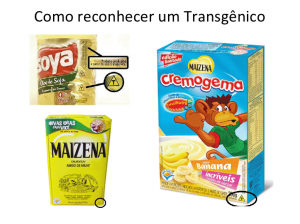 SymbolusDigital's tweet photo. @tucabr54 Milho transgênico. Se observar bem, no Brasil, quase tudo à base de milho já é produzido, há mais de 10 anos, com matéria-prima transgênica. Se morrermos cedo, talvez não será mal negócio. Quem ficar, que se cuide. https://t.co/I42EXXvR7i