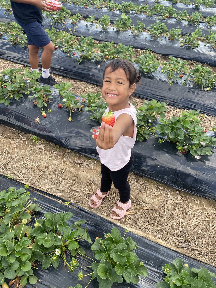 Rickygracee's tweet photo. I am blessed and rich in children 😀 my life carved out on how the lord envisioned it. Today’s celebration is because of my children. #HappyFathersDay to all the great dads and the single mums doing both roles. My children are my life MayaJoshZazzaRickyChelseyDallas WadeAmos🍓🙌🏽 https://t.co/0H1CASJtYQ
