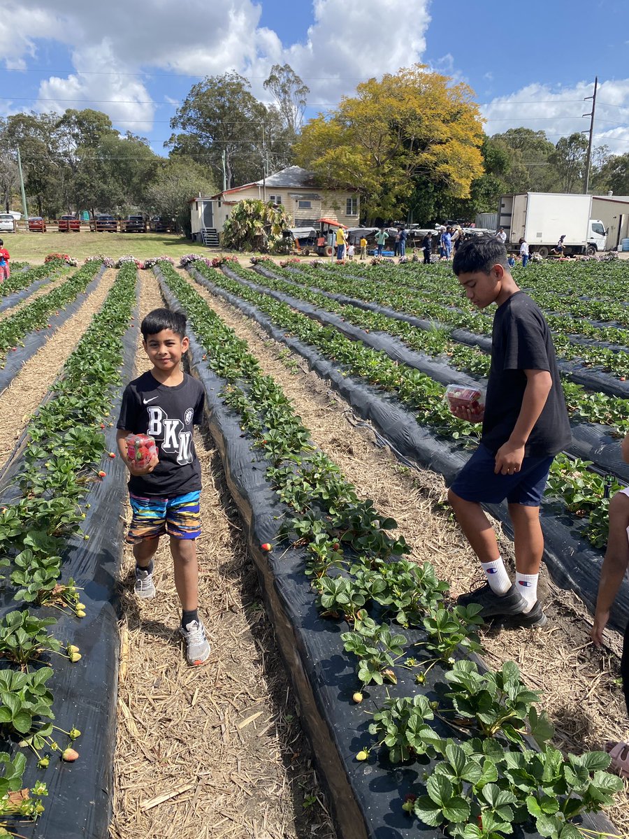 Rickygracee's tweet photo. Strawberry farm chambers flat🍓❤️ https://t.co/lGu4zqFoRN