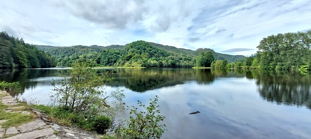 davey_kevin's tweet photo. Gorgeous morning for a paddle on Loch Faskally, Pitlochry. #kayaking #kayaking #FCAG https://t.co/yKUUrFJiHF