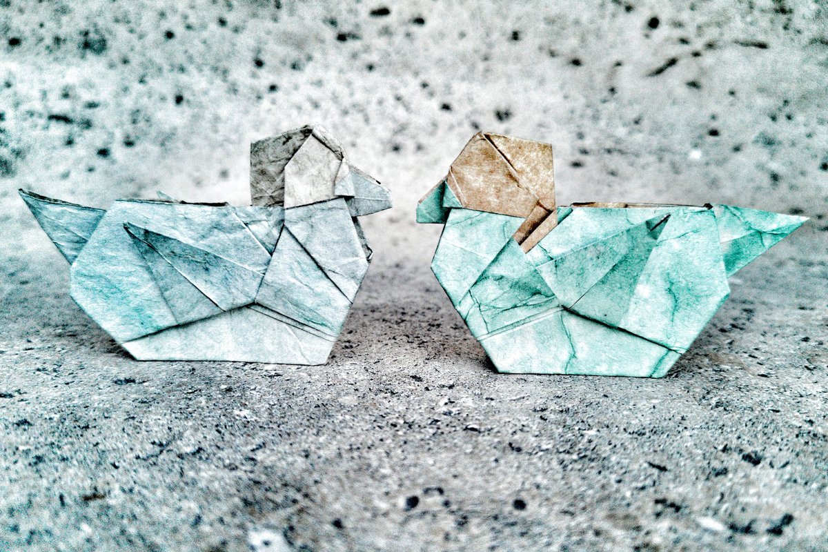 BarthDunkan's tweet photo. Origami Water Duck.
Canard stylisé et plié à partir d'un carré par Barth Dunkan (EcOrigami).
Duck designed and folded from a square by Barth Dunkan (EcOrigami)
#barthdunkan #ecorigami #bird #origami #paperfolding #paperart #mfpp #origamibird #origamiduck #duck #canard https://t.co/UIixlNJvw1