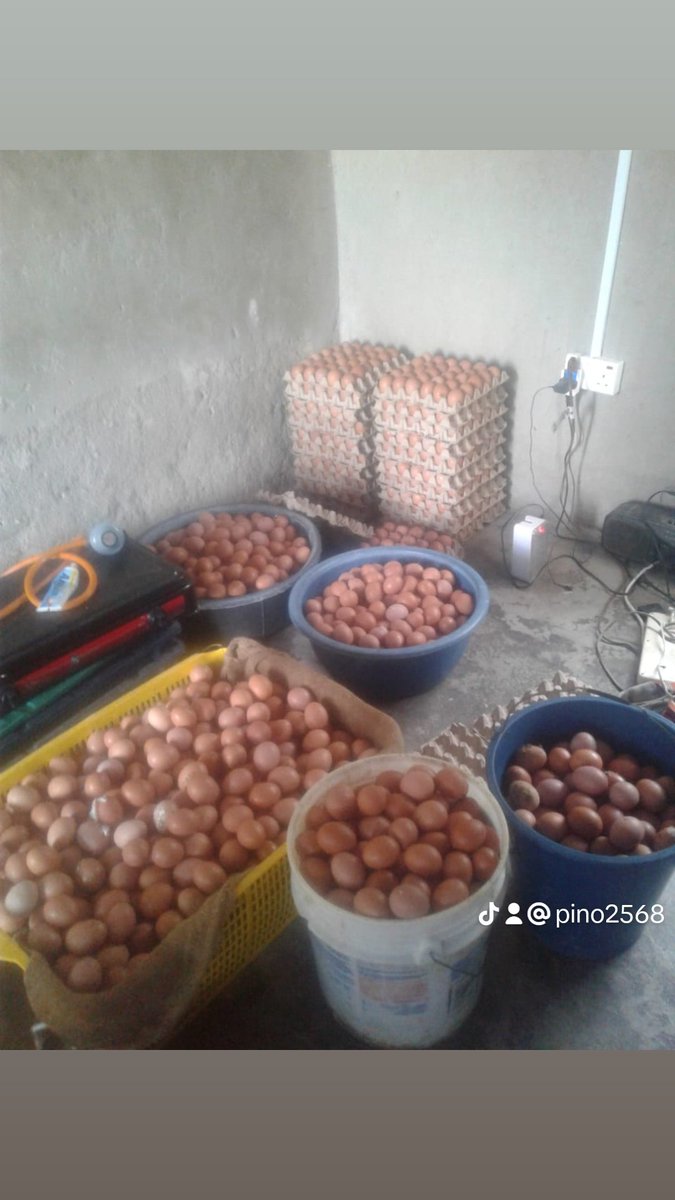 hesbon kwame antwi (@pino2568) on Twitter photo 