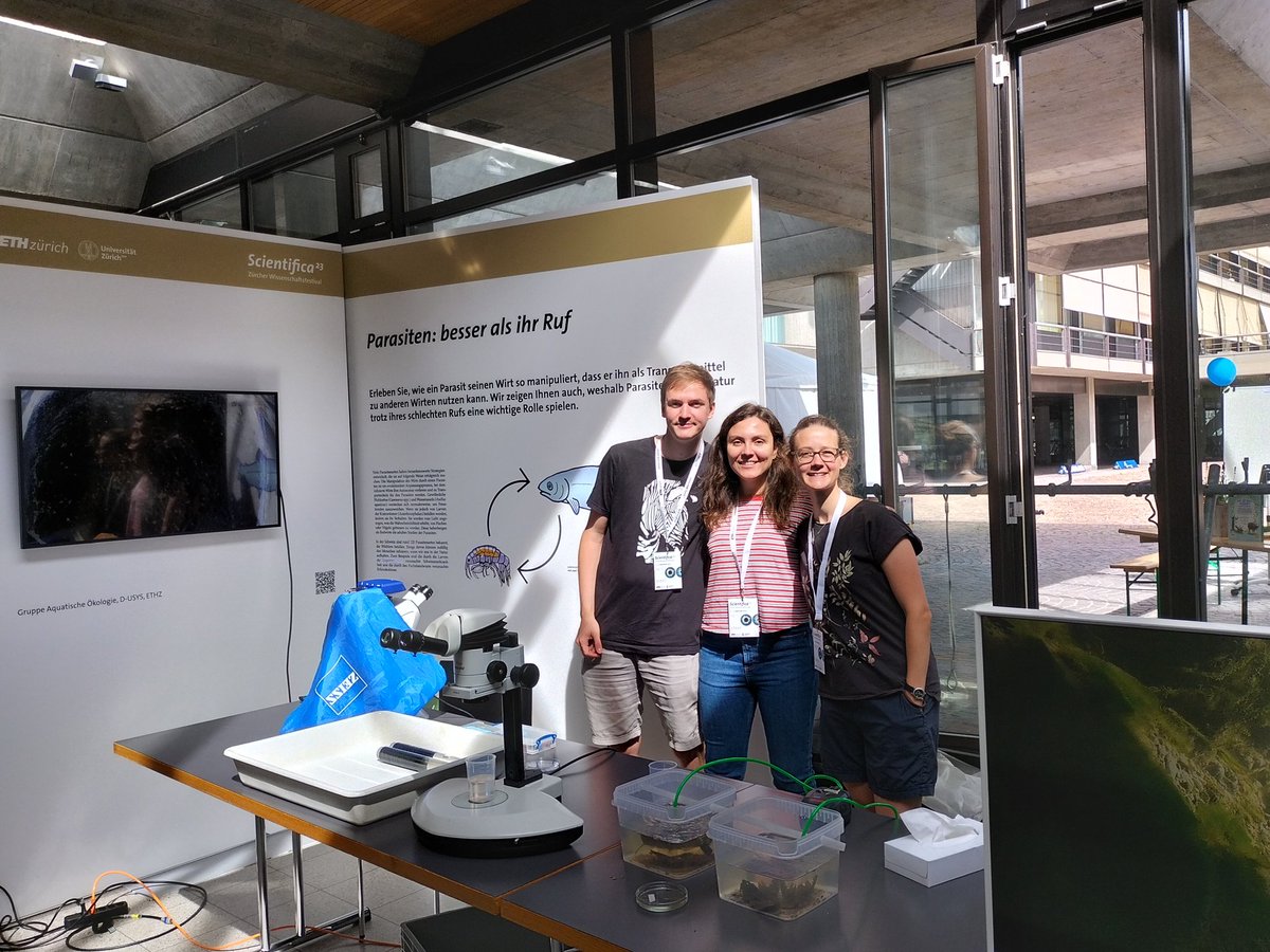 Cris L-B tweet media