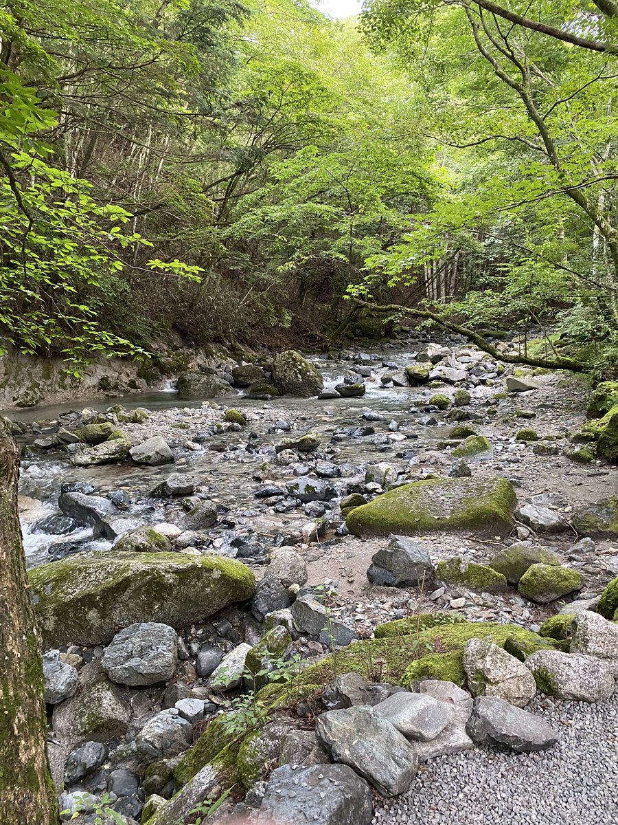 y_y_camera's tweet photo. 2023.08.29-30
🏕️奥道志オートキャンプ場
🏕️サバティカルモーニンググローリー https://t.co/ohTCqK2CB1