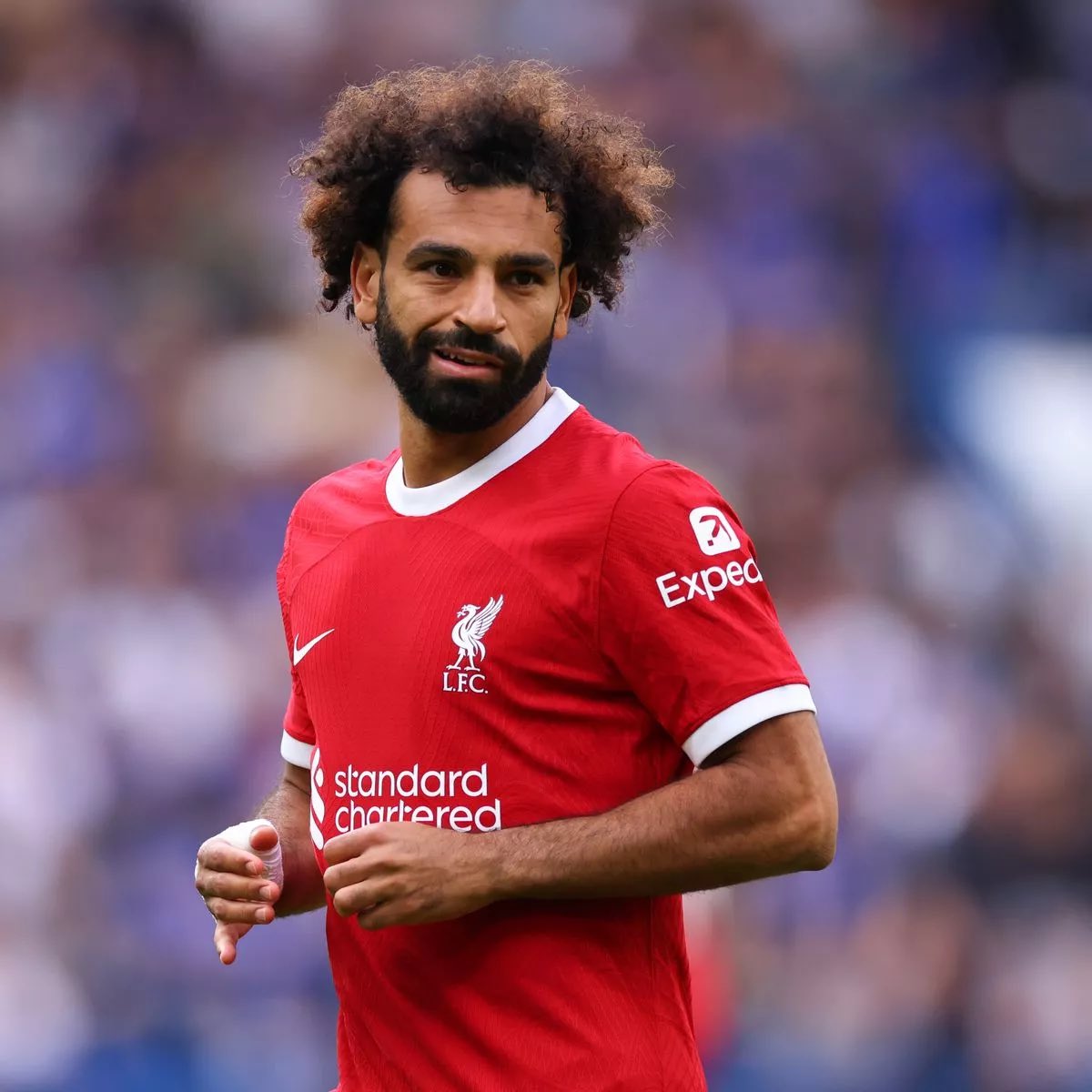 🇸🇦 🇪🇬 

الامير عبدالرحمن بن مساعد في رده على احد المغردين:

نحترم مصر ونجلها ( أكثر منك بالتأكيد) فنحن لا نرى أن الموسيقيين المصريين يباعون لنشتريهم ولانرى أن المغنيين والفنانين المصريين يباعون لنشتريهم ولا نرى أن الإعلاميين المصريين يباعون لنشتريهم أما الثقافة المصرية نستفيد