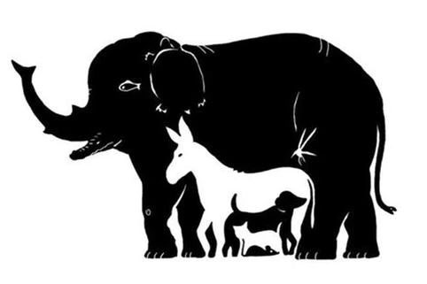 Bisanas4's tweet photo. Descubrirás a los 13 animales si miras con inteligencia #retoviral #motivation https://t.co/auiS4M0kAZ