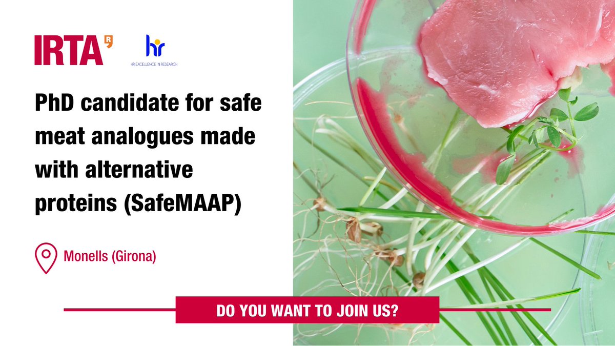 irtacat's tweet photo. 🔎 We are looking for a #PhDcandidate for safe meat analogues made with alternative proteins (SafeMAAP)

⏳ Deadline: 08/09/2023
📍 IRTA Monells (#Girona)
☑️ https://t.co/kzOZomaMwv https://t.co/kmAjrUHRUC