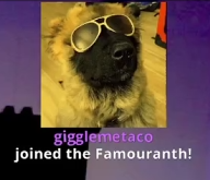 hey <a href="/GiggleMeTaco/">GiggleMeTaco</a> wanna talk about it? <a href="/Amouranth/">Amouranth</a> 's biggest TIER 3 fan confirmed