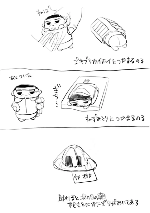 野生のノルチャン 