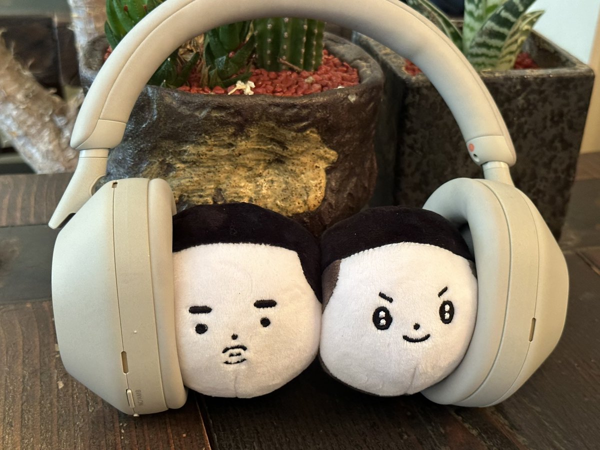 maniungni_'s tweet photo. 데굴산왕 첫 나들이😌 https://t.co/B7112EWk6e