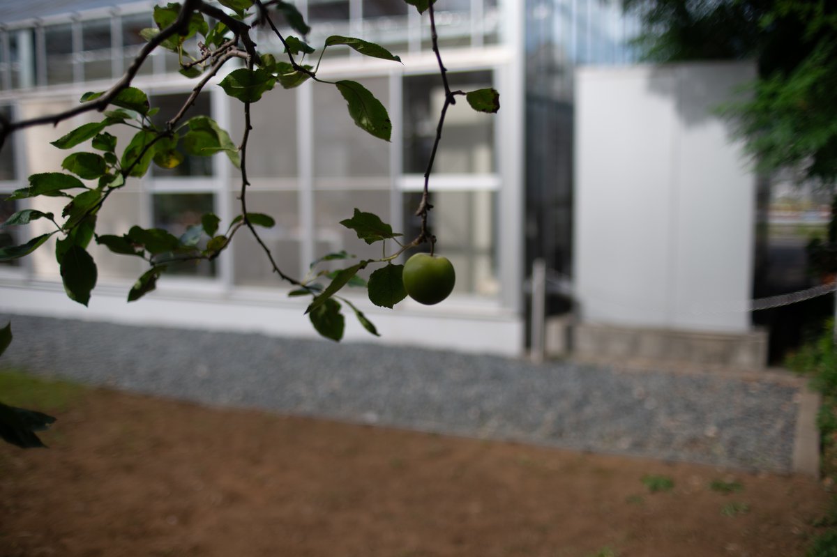 mindandsights's tweet image. Days of fades(/Phase)