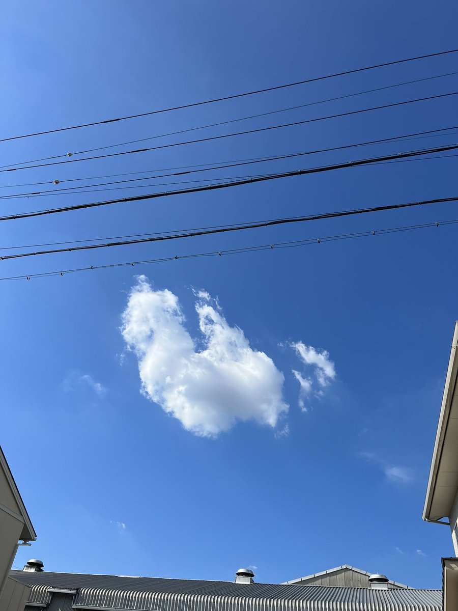 yaba1010's tweet photo. ぽかんとした　ただそれだけの雲 https://t.co/5lChRwWHb5
