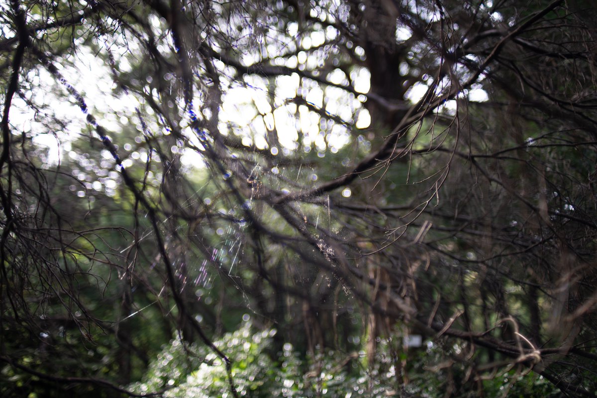 mindandsights's tweet image. Days of fades(/Phase)