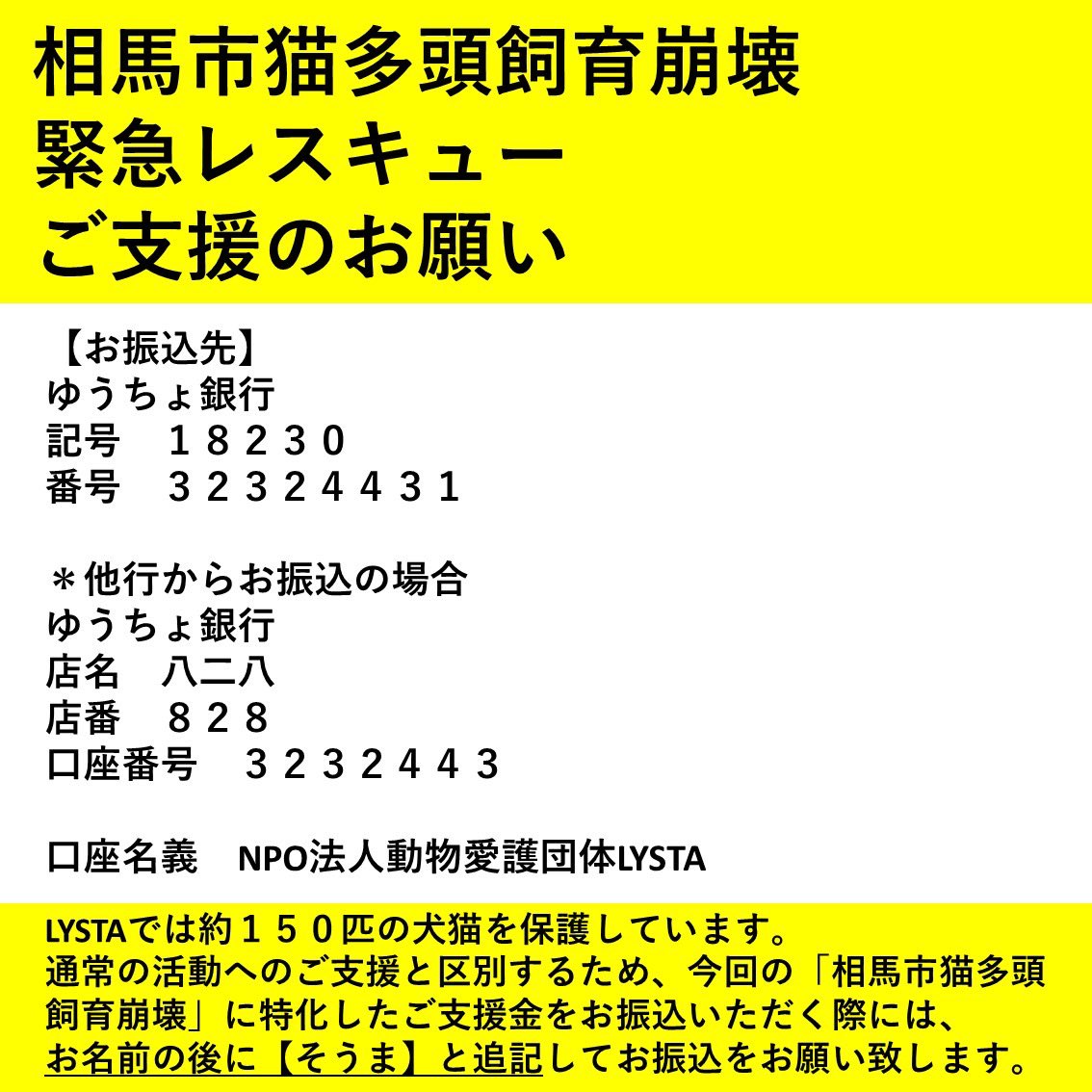 NPO法人動物愛護団体LYSTA／里親募集型保護猫ふれあいサロンOhana tweet media