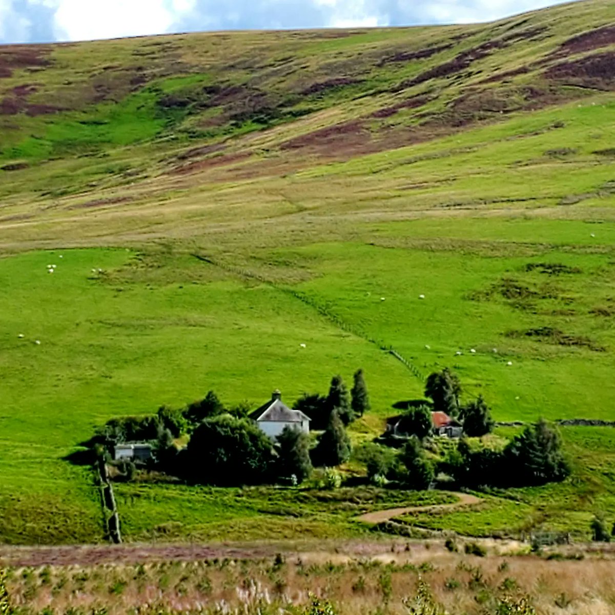 blonde_on_bikes's tweet photo. Mountain biking ๐ดโโ๏ธfollowed by good scran๐ฅ๐ฒ, G&T๐ธ and a fire pit๐ฅ. Making the most of the good weather โ๏ธ
#Tweedvalley #PloraWood #Glengaber #TraquairForest #Damhead #pathsaroundinnerleithen #outdoordining https://t.co/hXtcP7Gb4c