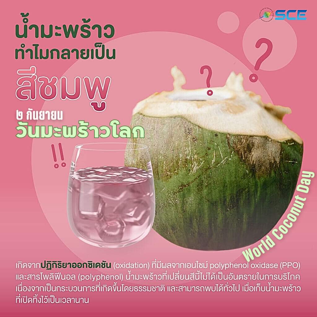 ๒ กันยายน...
#วันมะพร้าวโลก 🥥
(World Coconut Day)

#WorldCoconutDay 🥥