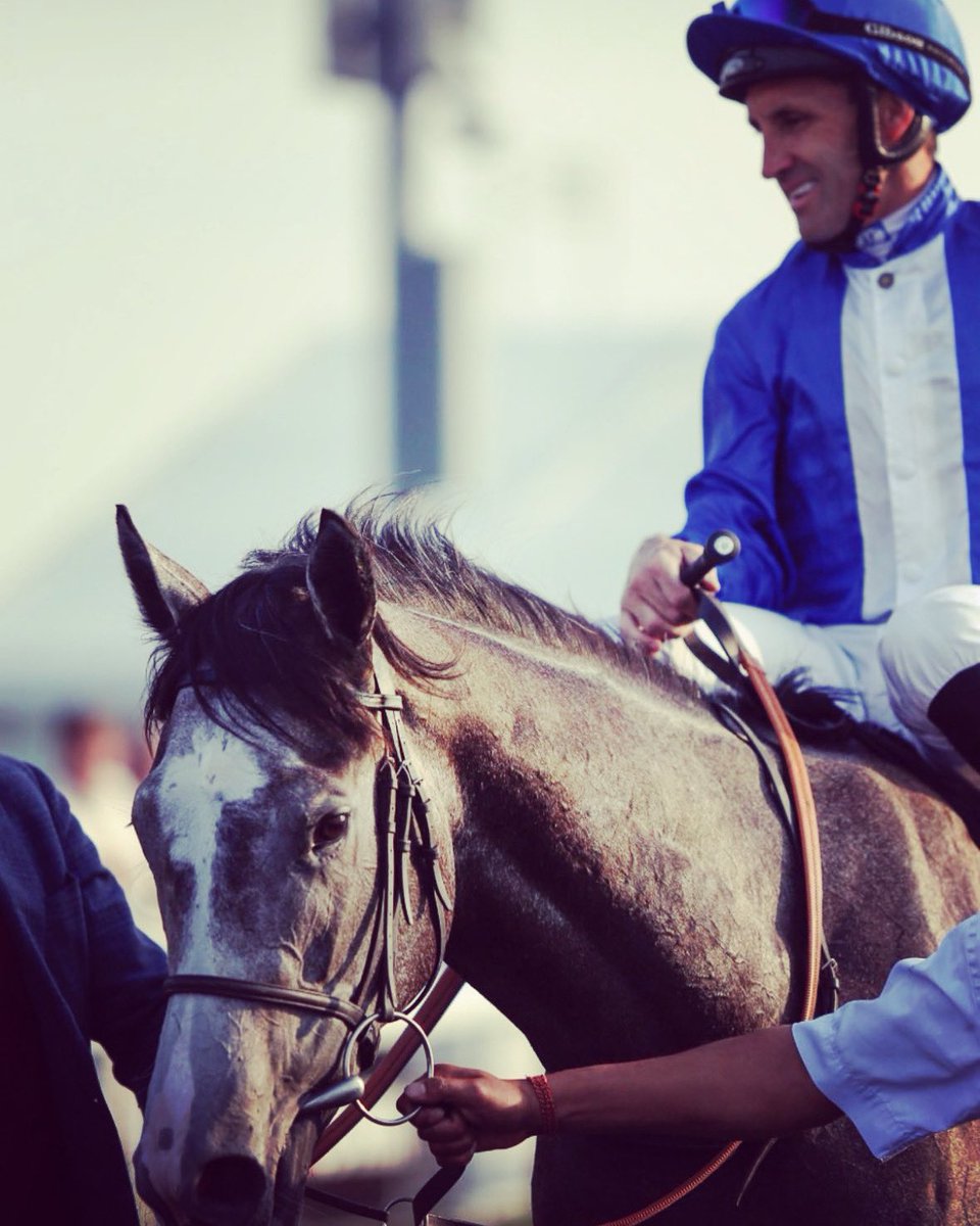 Marco Botti Racing tweet media