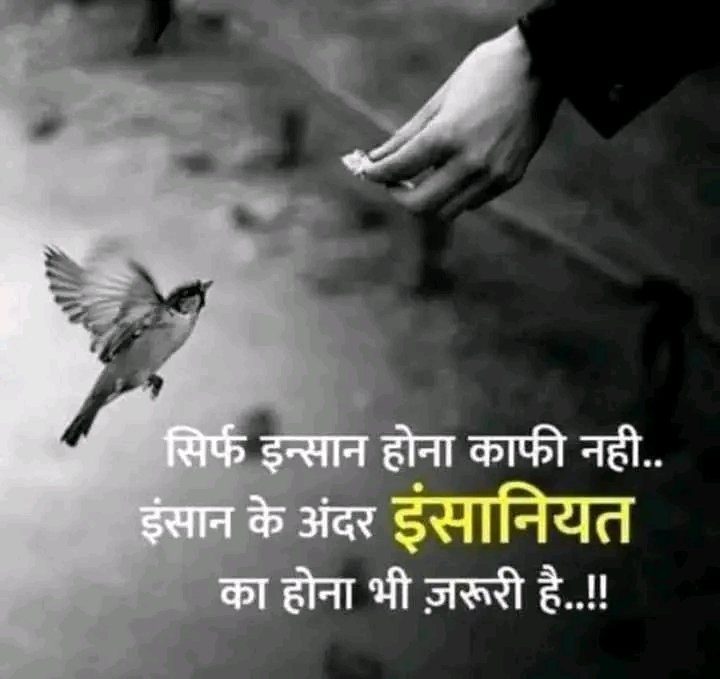 rab_9270671005's tweet photo. #rab
सिर्फ इन्सान होना काफी नहीं..
इन्सान के अंदर इन्सानियत का होना भी जरुरी है..!!
Just being human is not enough.
 It is also important to have humanity within a person..!! https://t.co/irsw0il4Lz