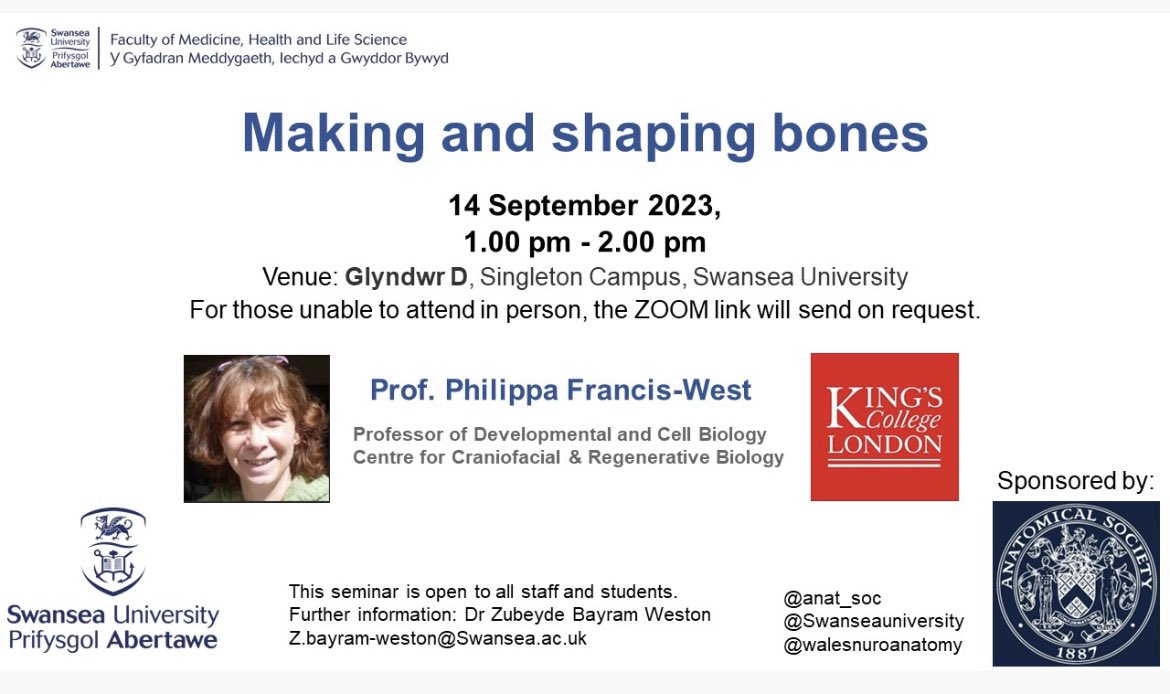 ZBW23's tweet photo. Excited to announce Prof Phillipa Francis- West from Kings College London will be delivering a seminar “Making and Shaping Bones” at Swansea University, Singleton Campus on 14th Sep. further details on how to join👇@anat_soc @ECAnatomists @SwanseaMedicine @SwanseaUni @SwanseaHSC https://t.co/lLaFSlp2Dj