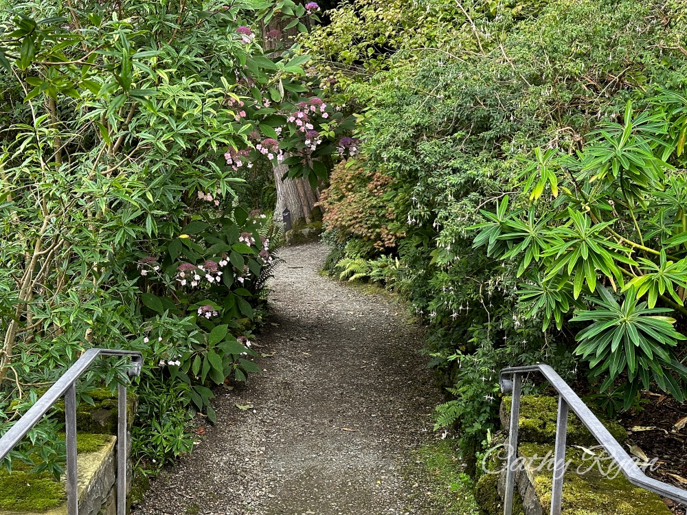 #SilentSunday ~ The Hidden Gardens, Anglesey. A historic garden under restoration #Gardens #Nature #Photography 

betweenthelinesbookblog.com/2023/09/03/sil… via <a href="/CathyRy/">CathyRyan</a>