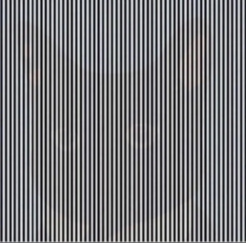 Bisanas4's tweet photo. Para poder ver el animal tienes que sacudir la cabeza💣❗️ https://t.co/ubLwbEtkVg