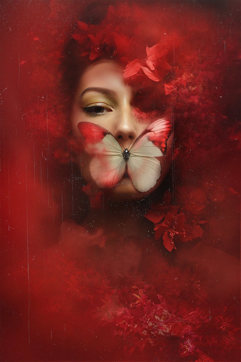 𝔣𝔢𝔡𝔢𝔯𝔦𝔠𝔬 𝔟𝔢𝔟𝔟𝔢𝔯 tweet media