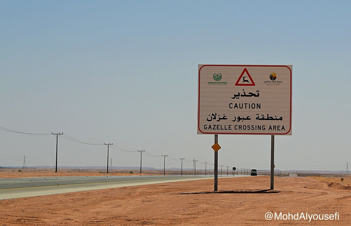 MohdAlyousefi's tweet photo. أين الخطأ؟ ولماذا لا تُفعّل الوسائط التقنية؟
،
أمس في شعيب العصل "بمحمية الملك عبدالعزيز الملكية" شاهدت صدفة ثلاثة أشخاص مترجلين يصيدون ببنادق هوائية طيور دُخّل.
نبّهت أكبرهم أن هذا ممنوع وأني شاهدت قبل ساعتين دورية للأمن البيئي.
شعرت بصدق الرجل بأنه لايدري أن المكان "محمية" وأنه زائر من خارج المنطقة.

دليته على درب ونصحته بالخروج فورا لأن أفراد الدورية سيطبقون النظام عليكم بغرامات بالآلاف ولا يُلامون في ذلك فهذه من المهام المؤتمنين عليها.
🔴المكان ليس فيه لوحات تدل على أنه محمية إلا لوحات كهذه الصورة على الطرق البعيدة عن مكاننا!!
🔴تردد خلال الربيع الماضي.. أن آخرين تورطوا بغرامات لدخولهم أماكن محظورة في محمية الإمام تركي بن عبدالله الملكية "التيسية سابقا"!
،
إذا لم يُوجد لوحات كافية تبين بدقة حدود المحميات وشروط عبورها فإن إداراتها مقصّرة. ولا تتحجج بأنك أعلنت عن ذلك في موقعك الإلكتروني ووسائل الإعلام، ولا تفترض أن كل الناس بلغهم الخبر لاسيما أن فكرة المحميات المفتوحة في محيط المدن والقرى جديدة على مجتمعنا ونحتاج الكثير من الجهود حتى نجعل الناس يعرفون أهدافها ويتفاعلون إيجابيا معها!! 
،
أقترح أن تتعاون كل المحميات في إنتاج تطبيق مجاني على الهواتف الذكية يبين حدودها في خرائط رقمية، ويمكن أن تُرسل التنبيهات والإرشادات آليا عبر هواتف العابرين إذا اقتربوا من حدودها.
،
"الهدف الأسمى من الأنظمة.. ضبط ممارسات الناس وتحقيق غايات عليا ومنع الأضرار وإرشادهم إلى ذلك وبخاصة الغافلين، أما "اللي عاصي وعلى بصيرة.. فـ يتحمل خطأه"!