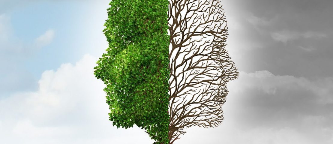 "Geçmişi değiştiremeyiz. İnsanların davranışlarını değiştiremeyiz. Kaçınılmaz olanı değiştiremeyiz. Değiştirebileceğimiz tek şey tavrımızdır."
Charles Swindoll