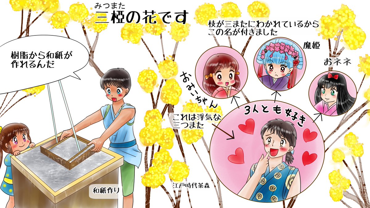 答えは 「三椏(ミツマタ)」です 

枝が三つに分岐する特徴があるために、
この名が付きました
樹皮には強い繊維があります
江戸時代初期に渡来し、
和紙の材料として使われてきました

今でも、紙幣やコピー紙などに使用されています。 
https://t.co/biZNvnwYEQ 