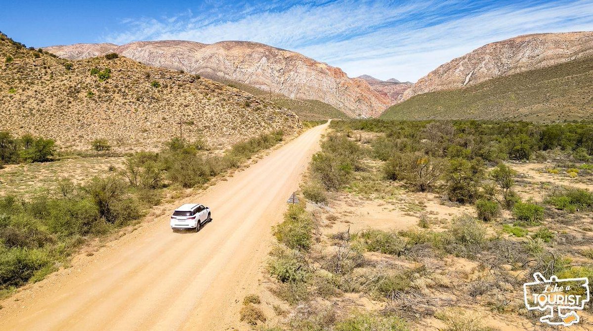 Mark Sham tweet media