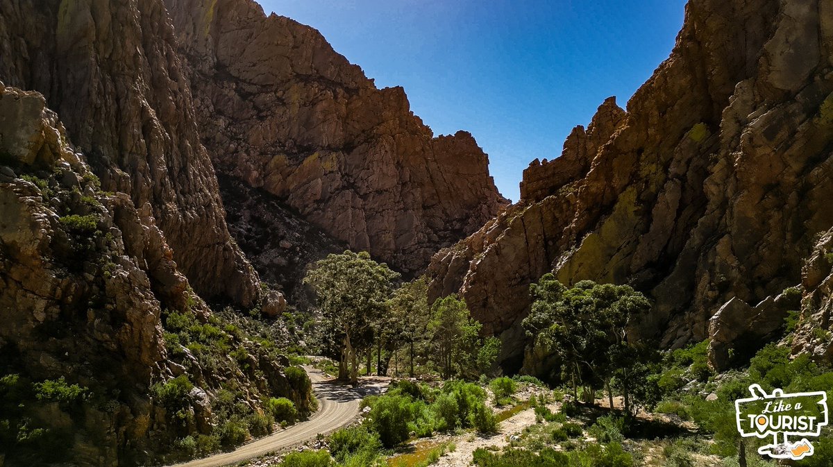 The 27km Swartberg Pass is considered one of the finest mountain passes in the world and it sits on our doorstep here in South Africa. An untarred road that winds to the summit 1583 metres above sea level in steep zigzags and sudden switchbacks with breathtaking views at every