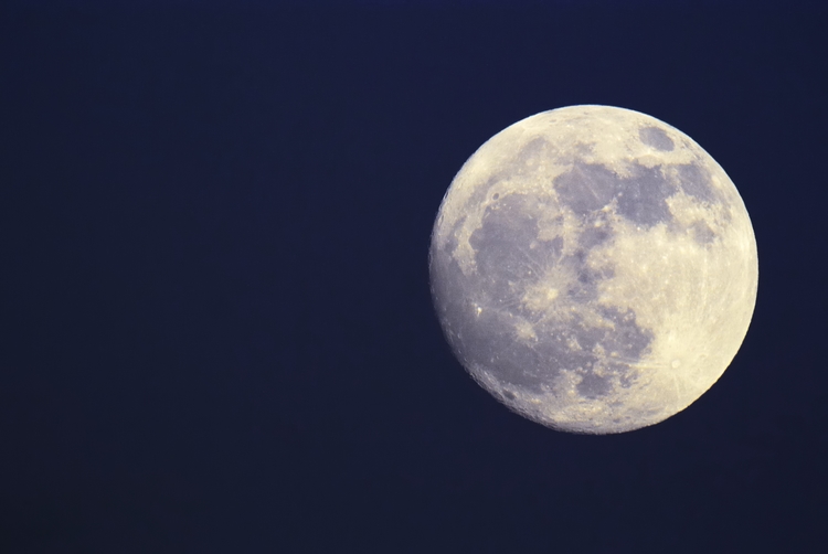 deeceedoc's tweet photo. Staring at the moon will never be the same!
Its a sense of wonder and excitement. The thought of India's Vikram lander and Pragyan rover making their mark on the moon's surface gives me major goosebumps!
#VikramLander #PragyanRover #LunarExploration #Goosebumps  #MoonMission https://t.co/V6dwUwzDnY